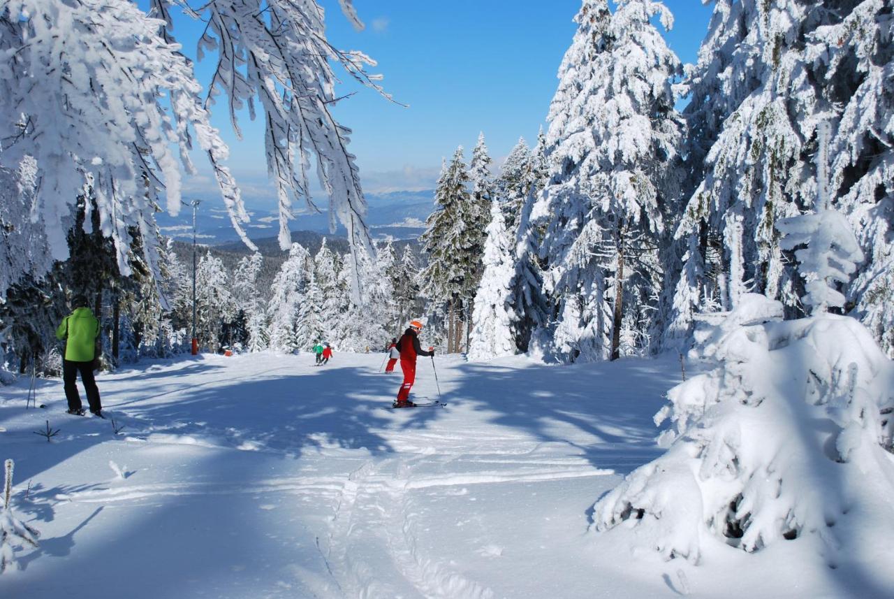 Chaletresort By S4Y Sankt Englmar Εξωτερικό φωτογραφία